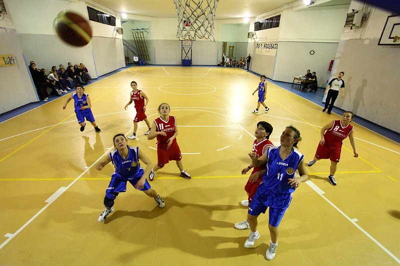 Basket 443104